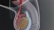 Prostanu suppiments2